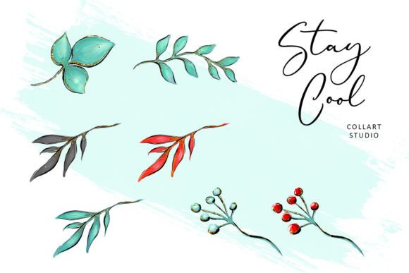 Christmas Flowers, Floral Illustrations Review